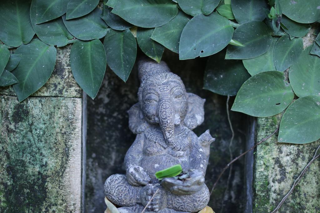 Karang Mesari Ubud Guest House Exterior photo