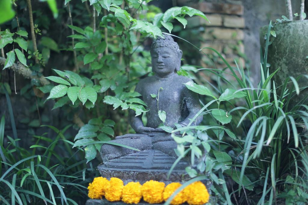 Karang Mesari Ubud Guest House Exterior photo