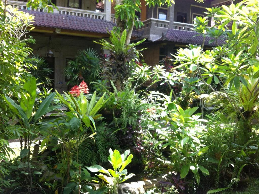 Karang Mesari Ubud Guest House Exterior photo