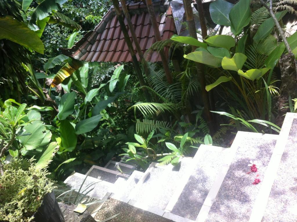 Karang Mesari Ubud Guest House Exterior photo
