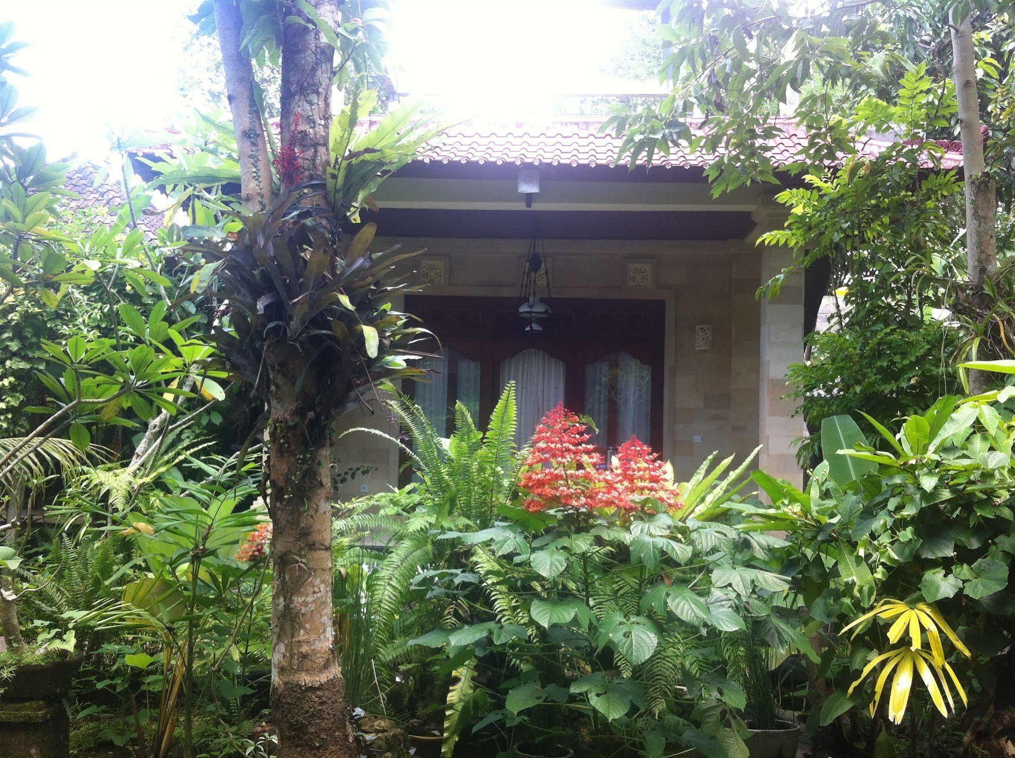 Karang Mesari Ubud Guest House Exterior photo